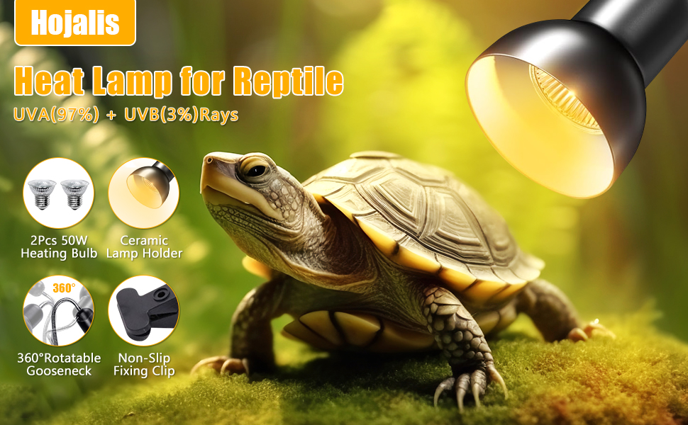 Tortoise Heat Lamp