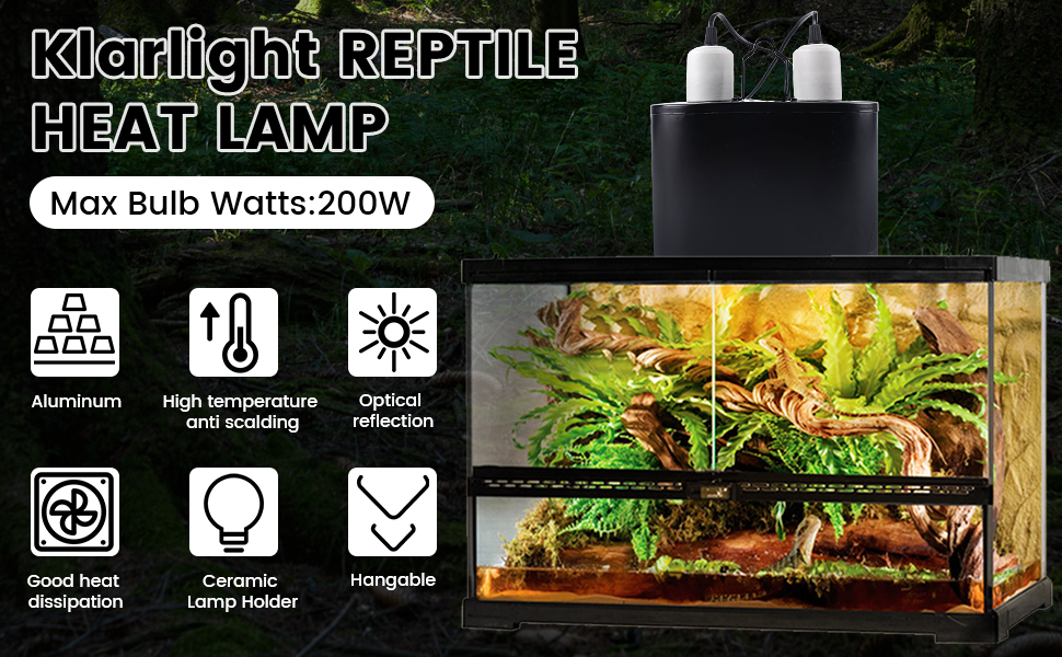 reptile heat lamp