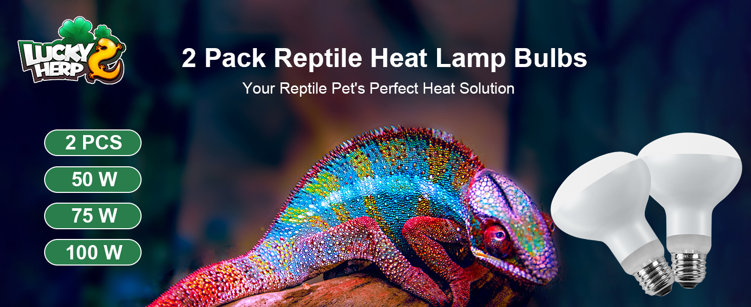 heat lamp reptile heat light bulb 