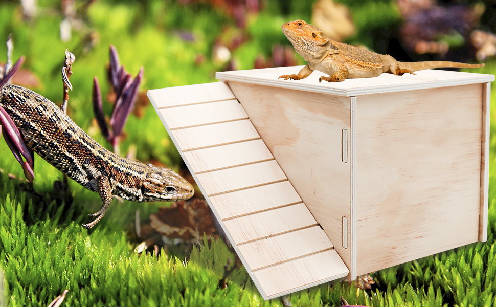 Large Bearded Dragon Hide Cave, Wooden Lizard Hideout with Climbing Ramp