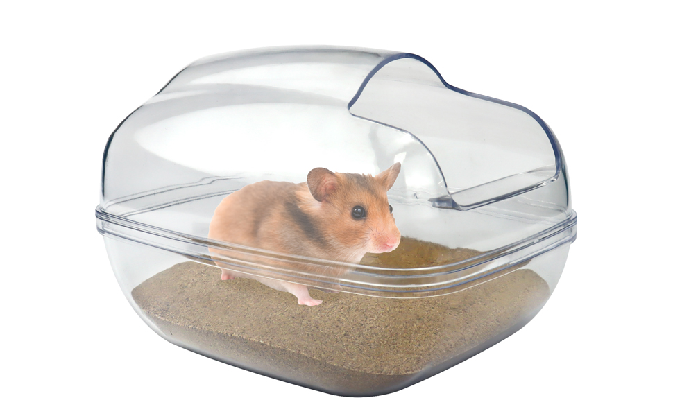 Large Hamster Sand 