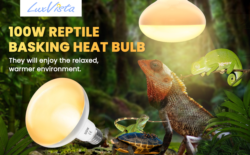 100W Reptile Heat Lamp Bulb