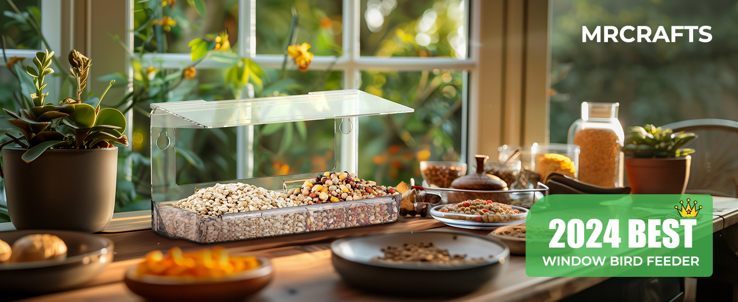 window bird feeder