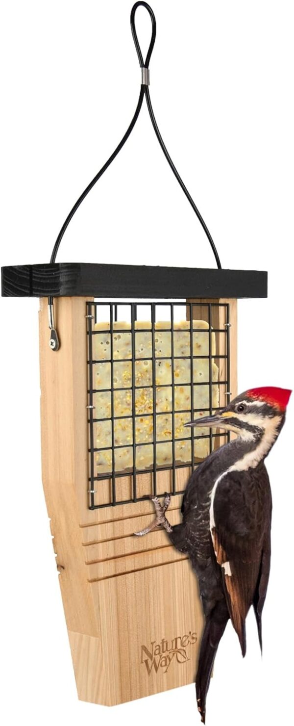 Nature's Way Bird Products CWF1 Tail-prop Suet Bird Feeder 12"H x 7.875"L x 3"W, Brown