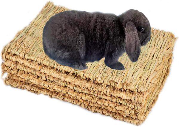 PINVNBY Natural Grass Woven Mat Small Animal Bedding Nest Guinea Pig Chew Toy For Parrot Rabbit Bunny Hamster Rat 6 PCS