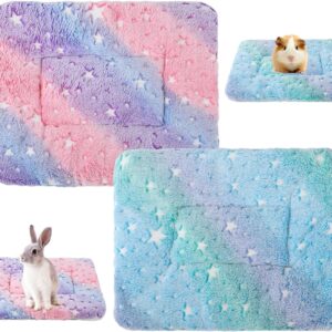 Small Animal Plush Bed,Guinea Pig Blanket,Guinea Pig Bedding Mat,Hamster Pad Mats,Winter Warm Fleece Sleep Pet Pad, Kitten Bunny Chinchilla Squirrel Hedgehog 14.8 * 11 inch