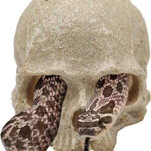 Snake Hideout, Reptile Aquarium Skull Decor, Resin Skeleton Head Fish Hide, Tank Terrarium Accessories, Reptile Hides and Caves for Fish Bearded Dragon Ball Python Leopard Gecko 4.7 × 3.5 × 3.7 Inch