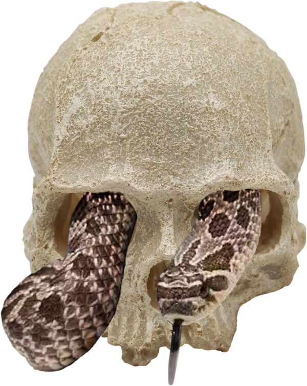 Snake Hideout, Reptile Aquarium Skull Decor, Resin Skeleton Head Fish Hide, Tank Terrarium Accessories, Reptile Hides and Caves for Fish Bearded Dragon Ball Python Leopard Gecko 4.7 × 3.5 × 3.7 Inch