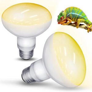 TANGHSE 2 Pack 100W Reptile Heat Lamp Bulb, Daylight Basking Spot Bulb, Tortoise Heat Lamp Bulb, Reptile Heating Bulb, UVA Heat Bulb for Amphibian, Tortoise, Bearded Dragon, Lizard, Chicks