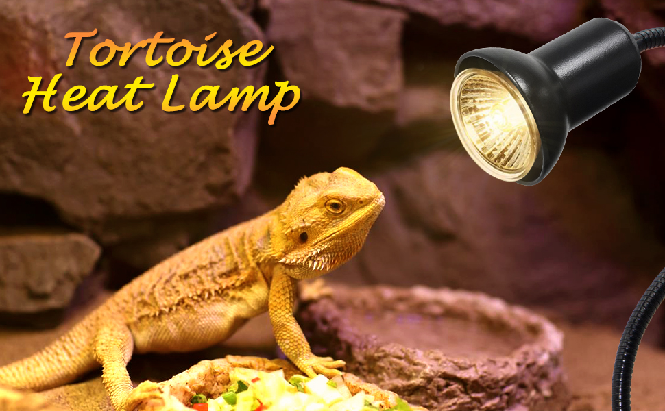 Tortoise heating lamp