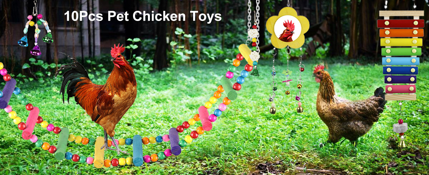 Chicken Toys